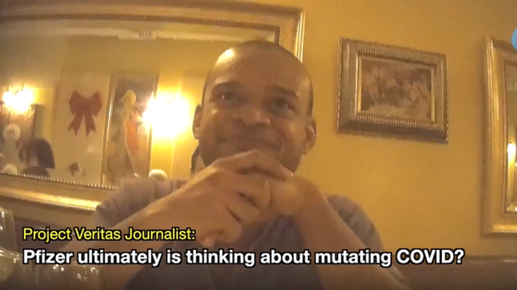 Pfizer Executive Caught in Shocking Admission: Video Reveals Company's Involvement in Controversial Virus Research